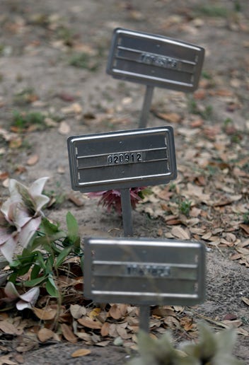 Immigrants and Equal Rights - Image 2